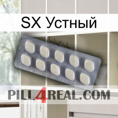 SX Устный 08